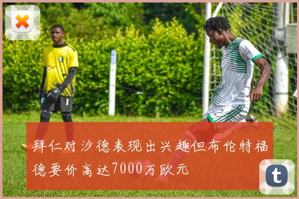 拜仁对沙德表现出兴趣但布伦特福德要价高达7000万欧元