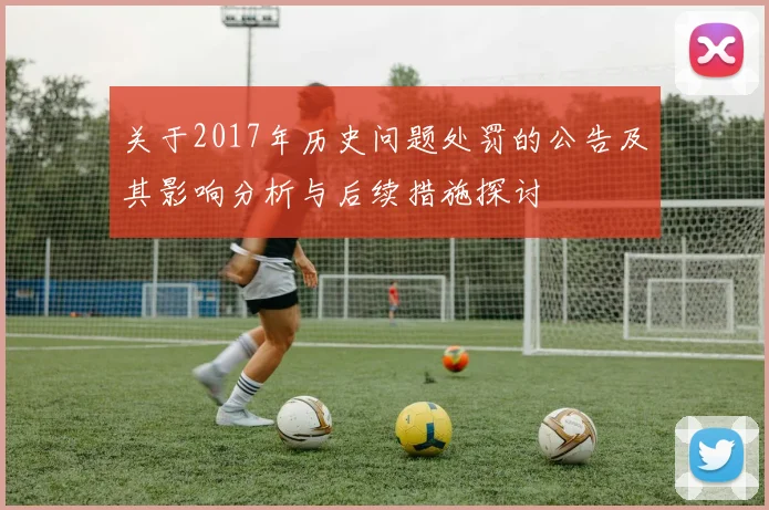 关于2017年历史问题处罚的公告及其影响分析与后续措施探讨