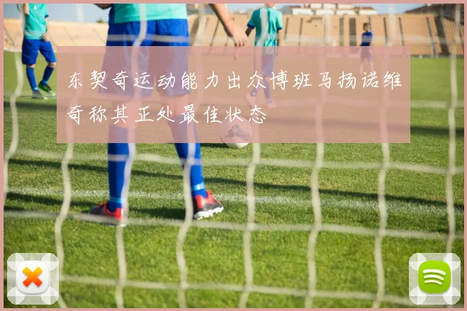 东契奇运动能力出众博班马扬诺维奇称其正处最佳状态