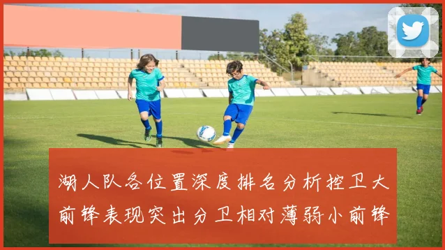 湖人队各位置深度排名分析控卫大前锋表现突出分卫相对薄弱小前锋与中锋处于中游水平