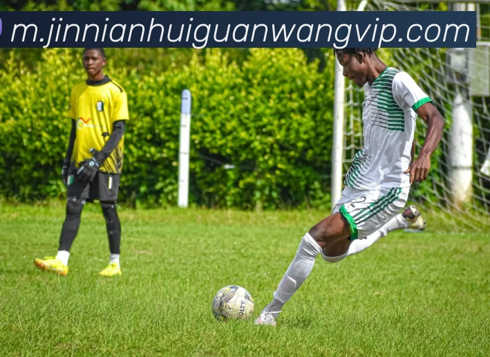 金年会发展历程